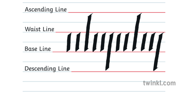 Calligraphy Lines And Letter Heights No Background Illustration Twinkl