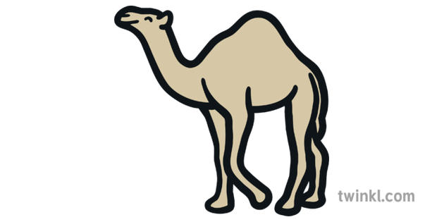 Camel Map Icon Desert Animal Mammal Hump Eyfs Illustration Twinkl