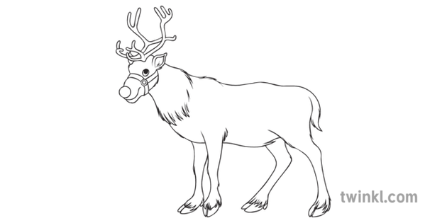 christmas reindeer colouring black and white illustration