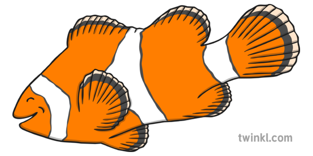 What Is A Clownfish Answered Twinkl Teaching Wiki