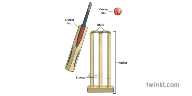 cricket bat ball bails stumps wicket illustration twinkl cricket bat ball bails stumps wicket