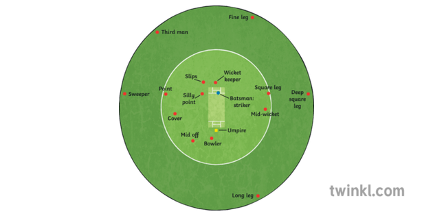 Cricket Positions When Fielding Illustration Twinkl