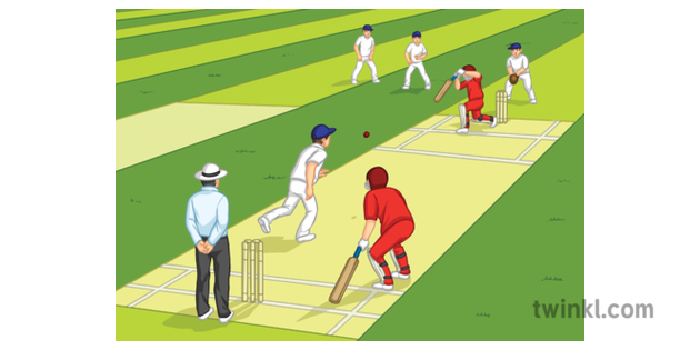 Cricket Pitch Visualise Set Up Diagram Pe Ks3 Illustration Twinkl