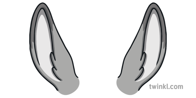 Donkey Ears Illustration Twinkl
