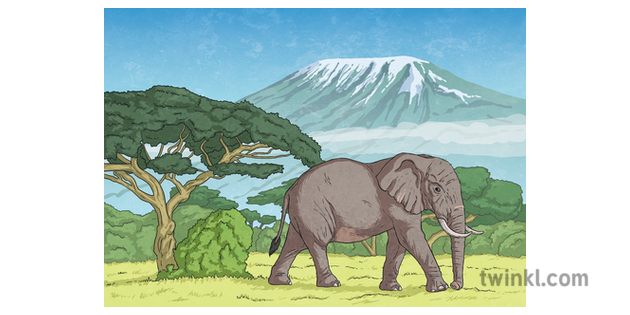 What is an Elephant? - Answered - Twinkl Teaching Wiki