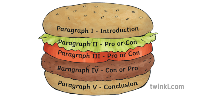 essay structure burger