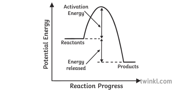 Exothermic Reaction Curve