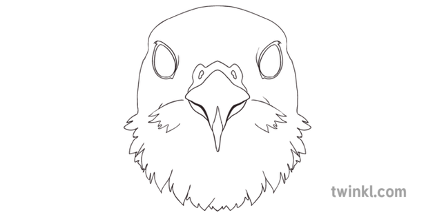 Falcon Role Play Mask Black And White Illustration Twinkl