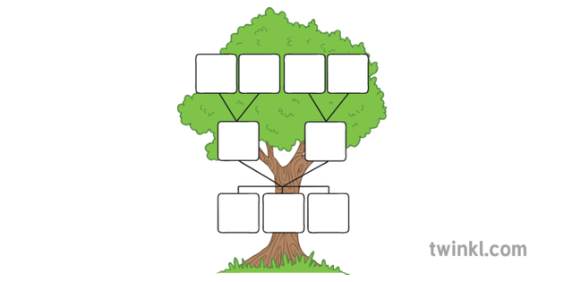 Family Tree Template Ilustracao Twinkl