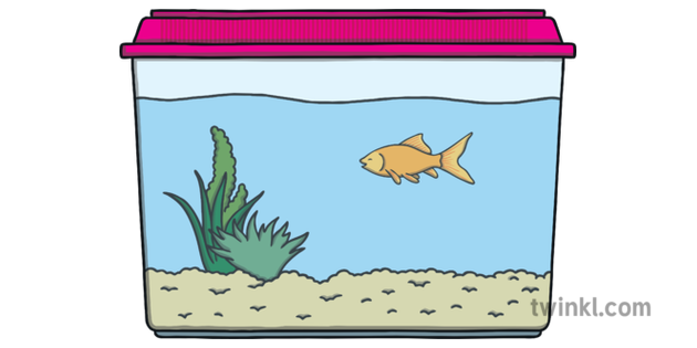 Fish Tank Illustration - Twinkl