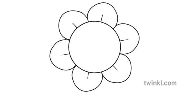 Blank flowers. Flower blank.