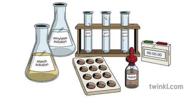 Experiment 931376. Experiment for starch. Декофеинизирование эксперимент. Эксперимент тэшфеласкартинки.