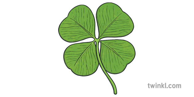 Four Leaf Clover Shamrock Ks2 Illustration Twinkl