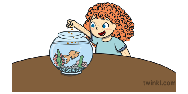 taking care of fish