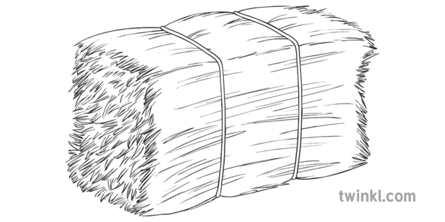Hay Bale Black And White Illustration Twinkl
