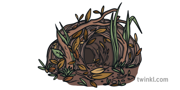 Hedgehog Nest Animal Den Nature Habitat KS1 Illustration - Twinkl