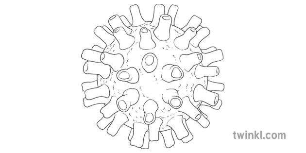 Virus Disegno Png Il Coronavirus Non E Un Re Il Virus Spiegato In Una