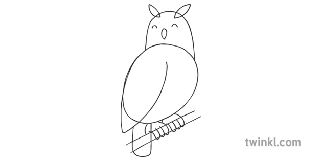 How To Draw An Owl Step 5 Art And Design Animals Birds Ks1 Black