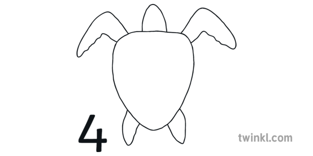 Como Dibujar La Tortuga De Mar Paso 4 Ilustracion Twinkl