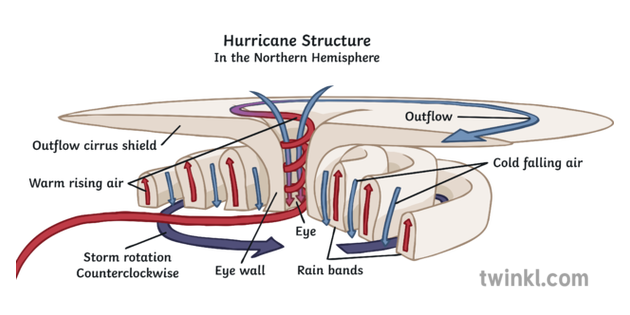 Cross Section Of A Hurricane Diagram