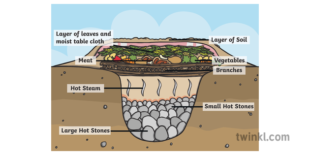 Image result for hangi diagram