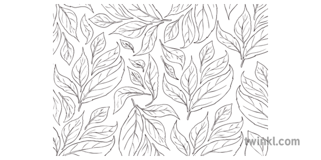 Leaf Leaves Pattern Ks2 Black And White Illustration Twinkl