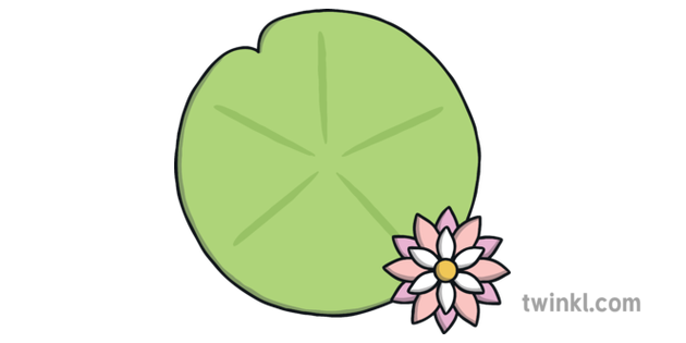 Lily Pad Flower Letter Matching Activity Usa Early Childhood Habitats Pond