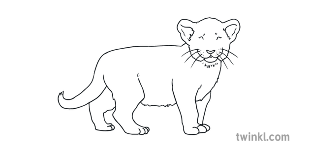 Lion Cub Bebe Animal Mamal Safari Afrique Eyfs Noir Et Blanc Illustration