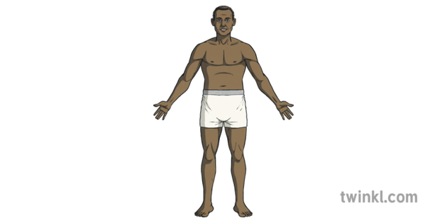 male paper doll