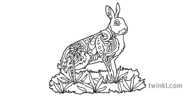 Download Mountain Hare Mindfulness Colouring Animal Mammal KS1 Black and White RGB