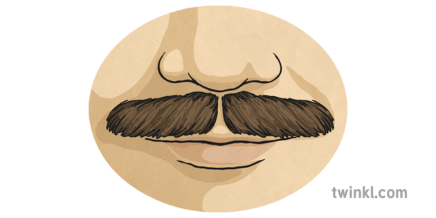 Moustache Ilustracion Twinkl