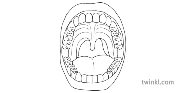 Mouth with Teeth Diagram Digestion Science KS2 Black and White RGB