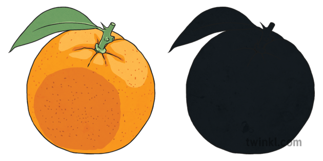 Orange And Shadow Object Fruit Healthy Light Topics Ks2 Illustration Twinkl