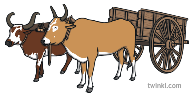 Oxen Pulling Cart Illustration - Twinkl