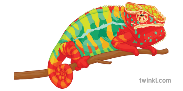 colorful chameleon clipart