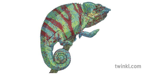Chameleon, Wiki