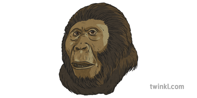 Paranthropus aethiopicus
