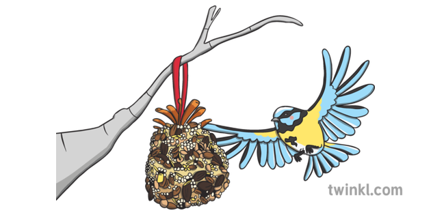 Pine Cone Bird Feeder Final Illustration Twinkl