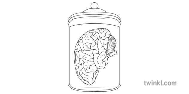 Preserved Brain In A Jar Science Albert Einstein Human Body Secondary Black