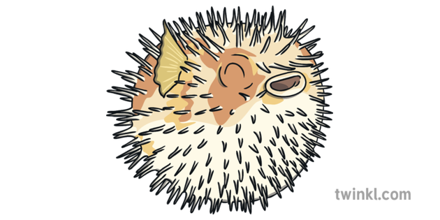 河豚魚在危險中的y2體操在海課1平衡課包英語ks1中