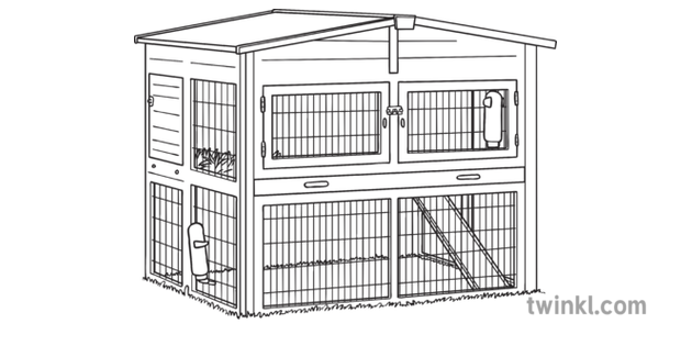 white guinea pig cage