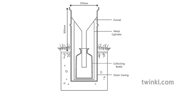 Rain Guage Diagram Illustration Twinkl