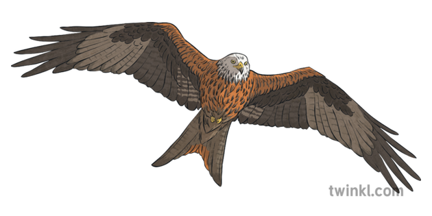 red kite clipart red kite clipart