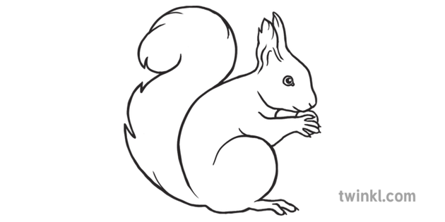Red Squirrel Emoji Animal Twinkl Newsroom Ks2 Black And White Rgb