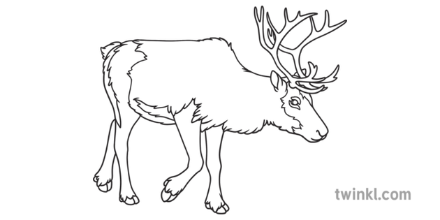 Reindeer Animal Christmas Northern Cold Deer Herd Ks1 Black And White Rgb