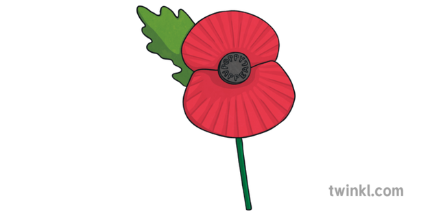 parts of the remembrance poppy