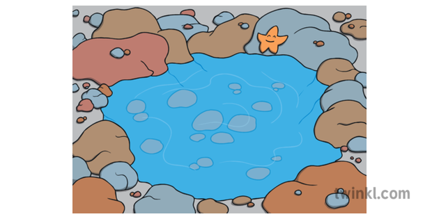 Rock Pool Background Rocks Sea Water EYFS Illustration Twinkl