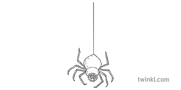 害怕的蜘蛛動物動物詩句托兒所韻經典英語ks2 Bw Rgb