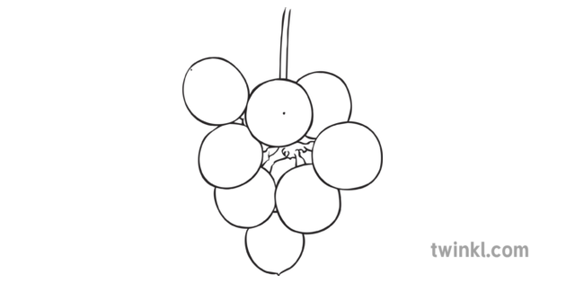Scuppernong Raisins Caroline Du Nord Symboles Fruits Usa Ks2 Noir Et Blanc