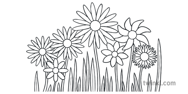 seven flowers colouring page spring plants ks1 illustration